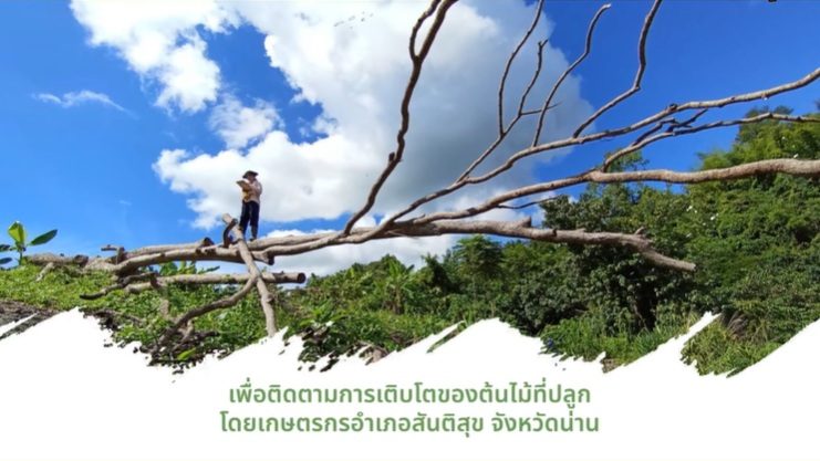 ตามติดภารกิจผู้ติดตามต้นไม้ของเรา