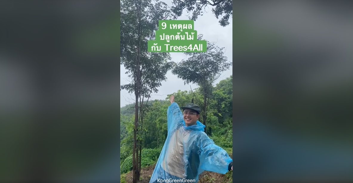 KongGreenGreen: 9 เหตุผลปลูกต้นไม้กับ Trees4All