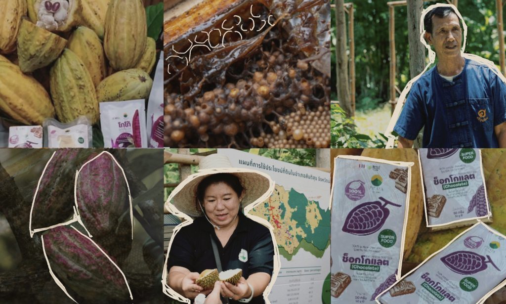 Environman: พา ‘ต้นไม้ของเรา’ สู่ตลาด เพิ่มช่องทางซื้อ – ขาย สร้างรายได้แก่เกษตรกร