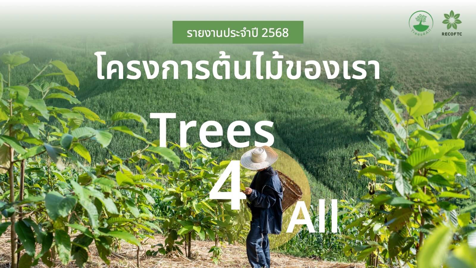 รายงานประจำปี 2568 โครงการต้นไม้ของเรา Trees4All