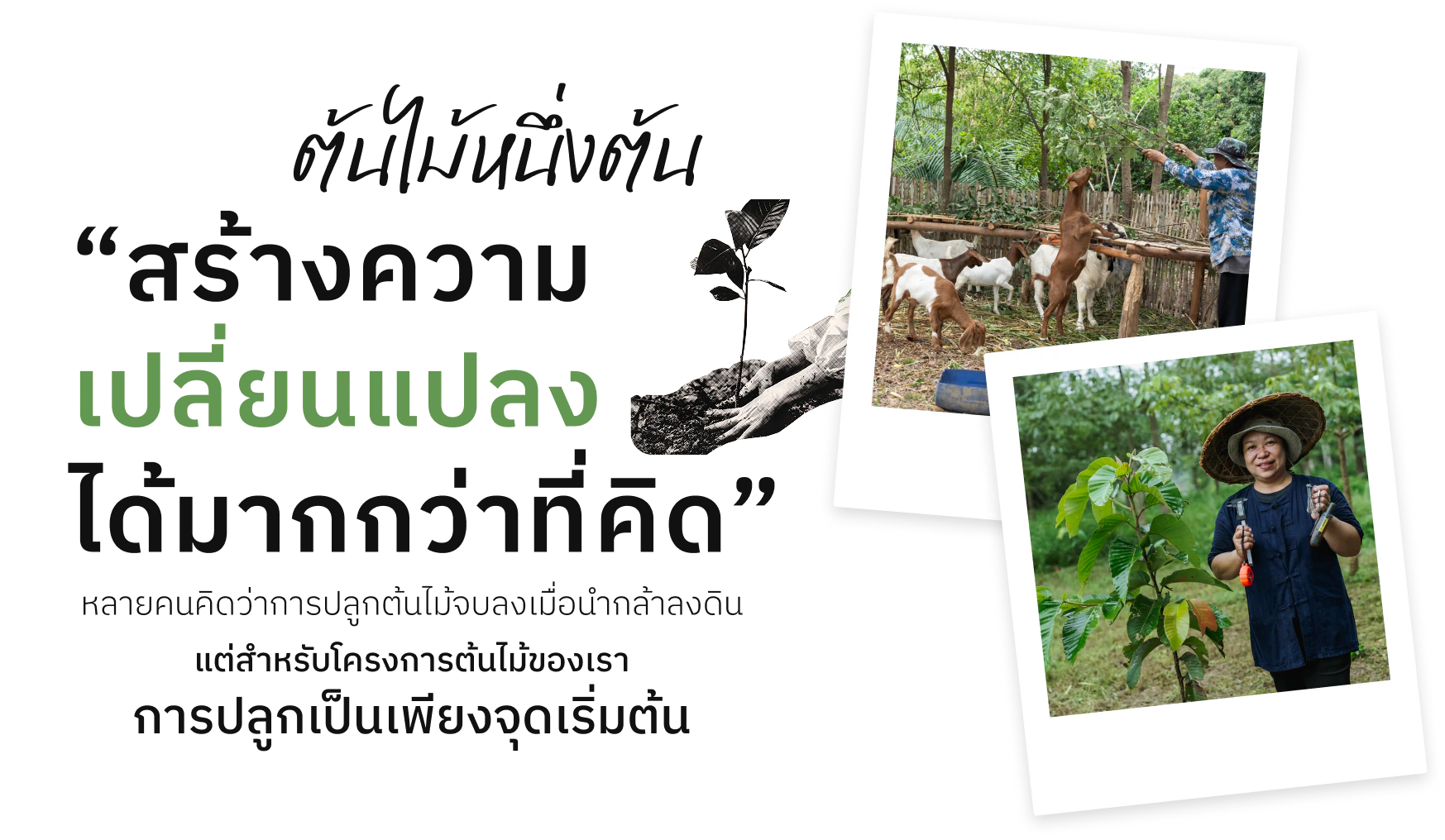 ต้นไม้หนึ่งต้น “สร้างความเปลี่ยนแปลงได้มากกว่าที่คิด” — หลายคนคิดว่าการปลูกต้นไม้จบลงเมื่อนำกล้าลงดิน แต่สำหรับโครงการต้นไม้ของเรา การปลูกเป็นเพียงจุดเริ่มต้น