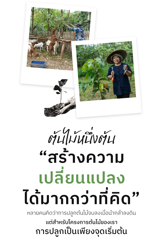 ต้นไม้หนึ่งต้น “สร้างความเปลี่ยนแปลงได้มากกว่าที่คิด” — หลายคนคิดว่าการปลูกต้นไม้จบลงเมื่อนำกล้าลงดิน แต่สำหรับโครงการต้นไม้ของเรา การปลูกเป็นเพียงจุดเริ่มต้น