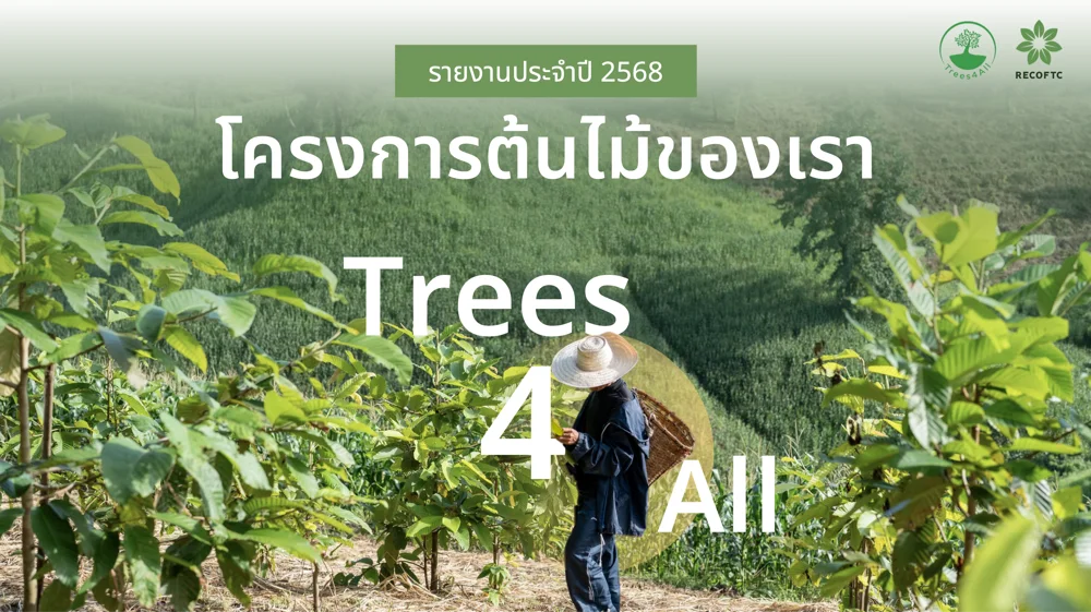 ปกรายงานประจำปี