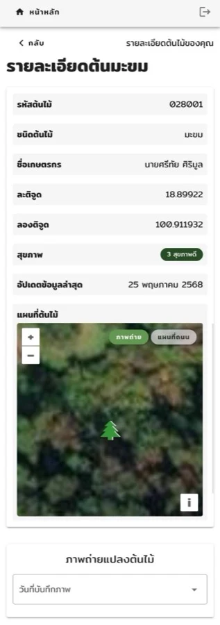 หน้าจอแอปติดตามต้นไม้