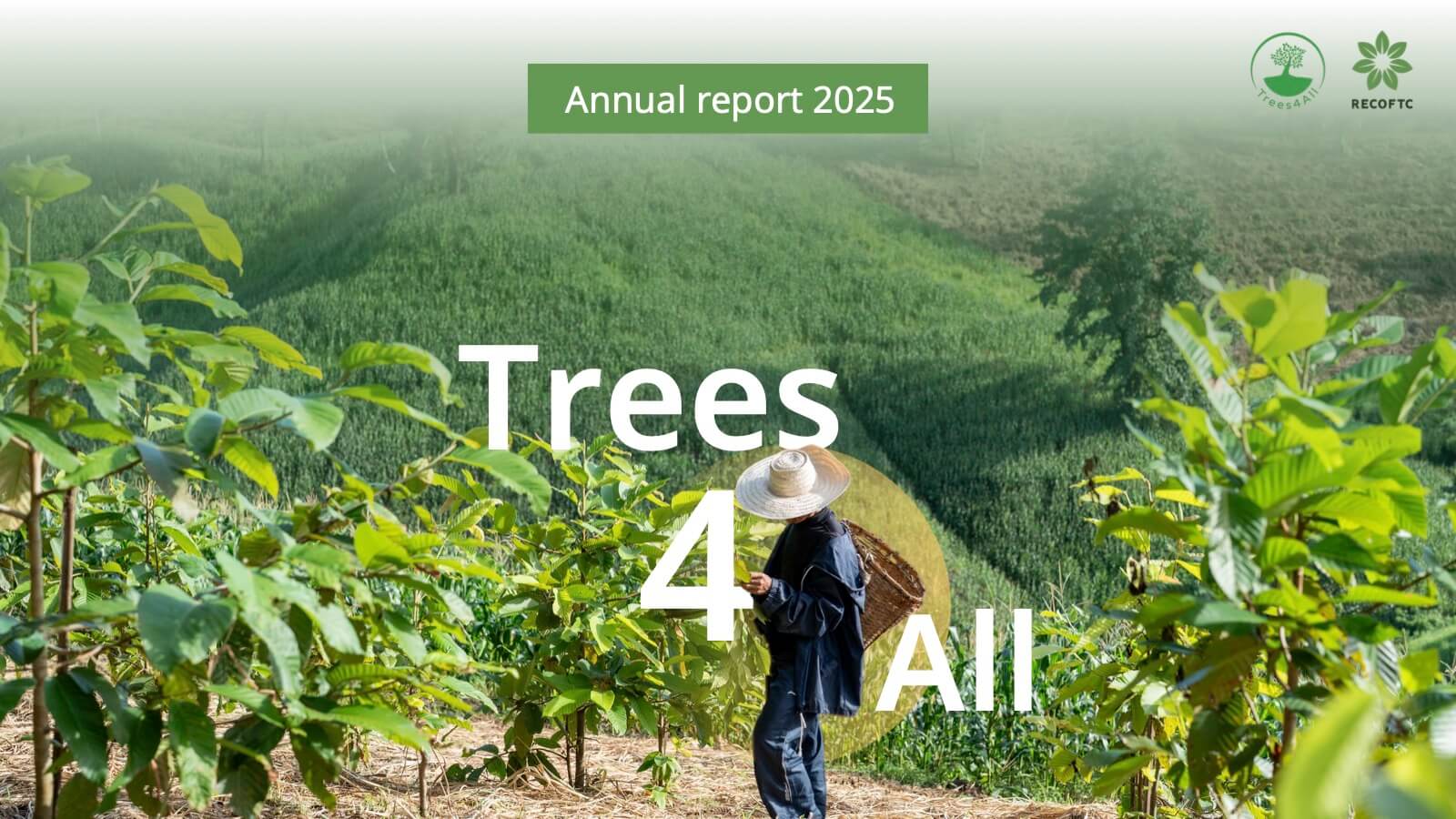 Annual Report 2025